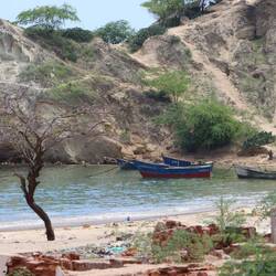 ...hat man gerade Muränen gefangen...