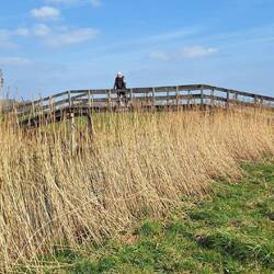 Viele Kanäle erfordert viele Brücken.