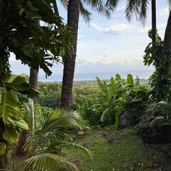 View of the coast