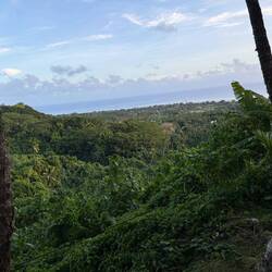 Coast again
