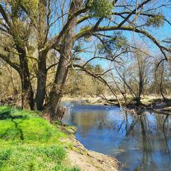 Und zum Abschluss noch einmal die Nied.