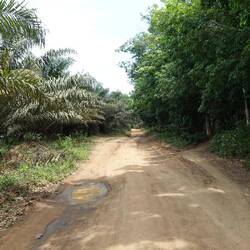 Der unbefestigte Weg ist sandig und hat viele Pfützen, doch die Umgebung ist sehr schön