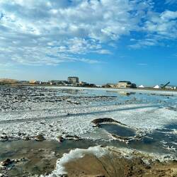 Wie Schnee in der Wüste...