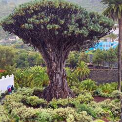 Red dot in middle right is a person for size reference