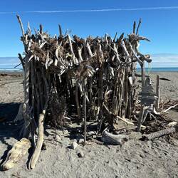 Driftwood sculptures on Hokitika beach