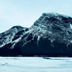 Yoho NP