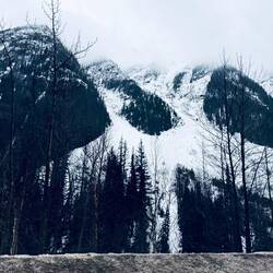Avalanche remains at Roger's Pass, famous, well, avalanches