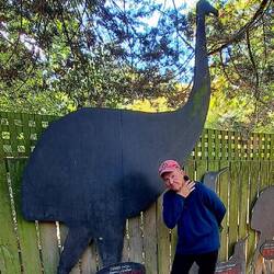 The Giant Moa was ~12ft tall & ~500lbs;became extinct w/in 100yrs of human settlement in NZ (c.1300)