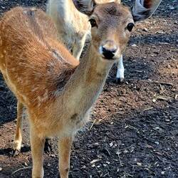 Serious cuteness here...