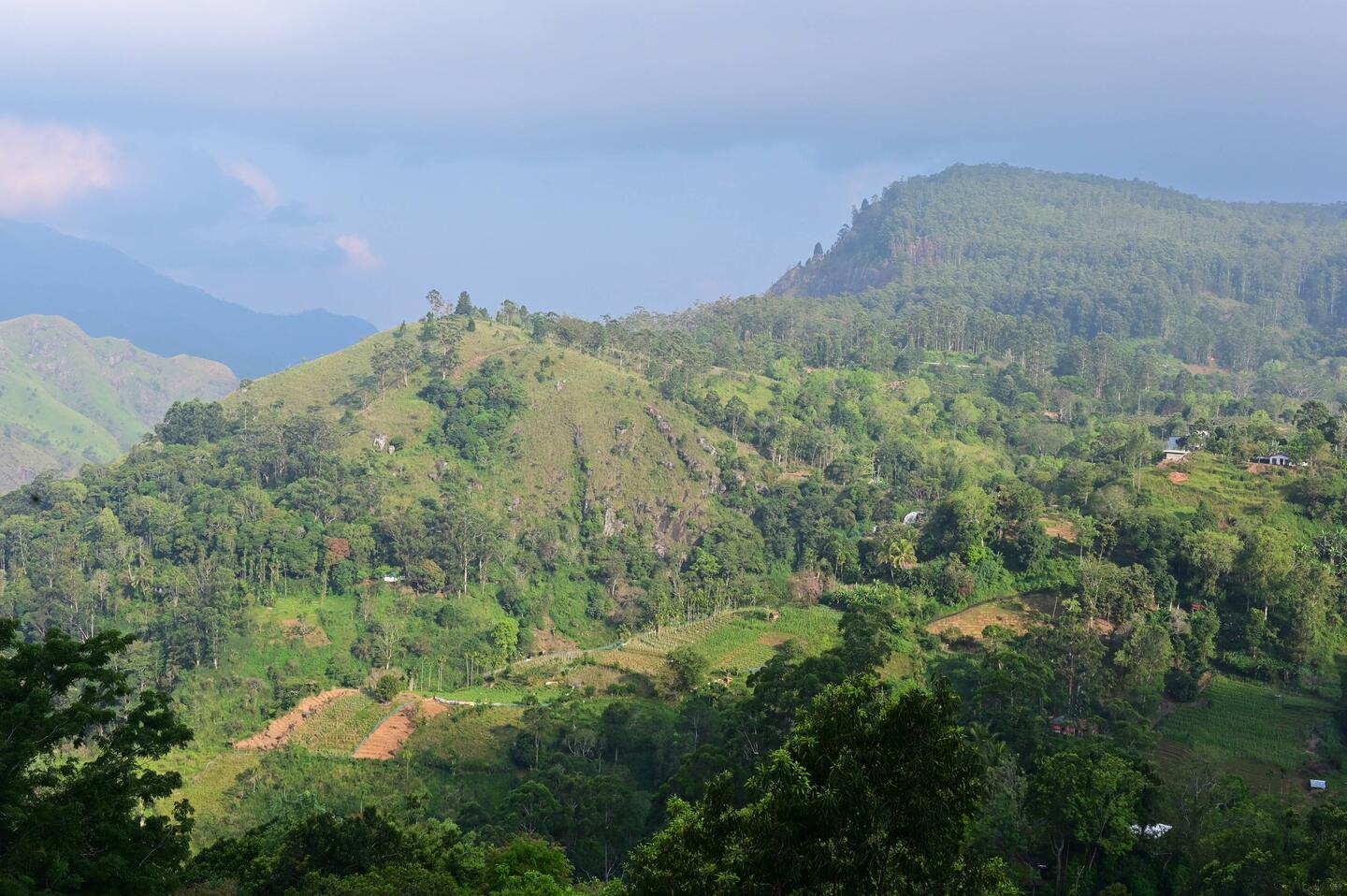 Views from our Ella accommodation