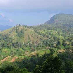 Views from our Ella accommodation