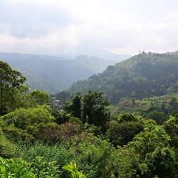 Little Adam's Peak views