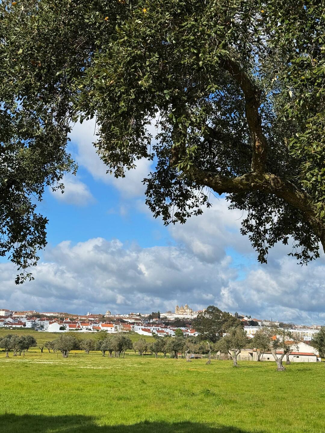 Évora im Rückblick