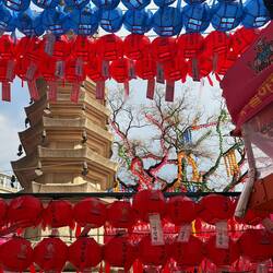 Even more lanterns hung above on the tree branches.