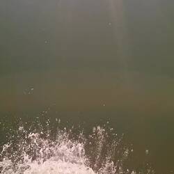 Zurück zur Praia de Faro