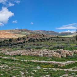 Ist ne ganz andere Landschaft hier im Norden