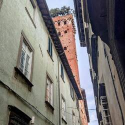 Guinigi Tower (Torre Guinigi)