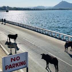 Fateh Sagar Lake