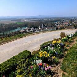 Marne-Tal und das am Hang gelegene Dorf Mareuil-sur-Aÿ