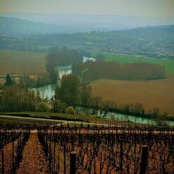 Am Belvédère de Dom Pérignon