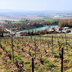 Blick in das Marne Tal