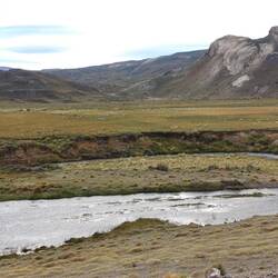 Ganz viele Schafe 🐑