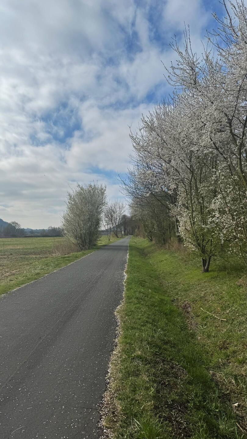 Schöner Start