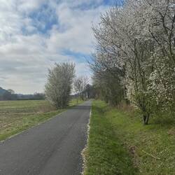 Schöner Start