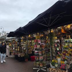 Flower Market