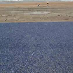 ... für die Kleinen. 🤣