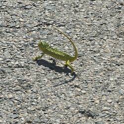 🤩🤩🤩🤩🤩🤩🤩