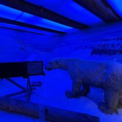 Mit solchen Selbstschussanlagen wurden Eisbären erlegt, solange das noch erlaubt war.