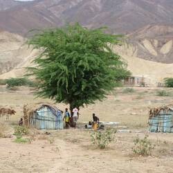 ...und mal ein paar einfache Hütten