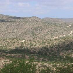 ...die sich viele Kilometer...