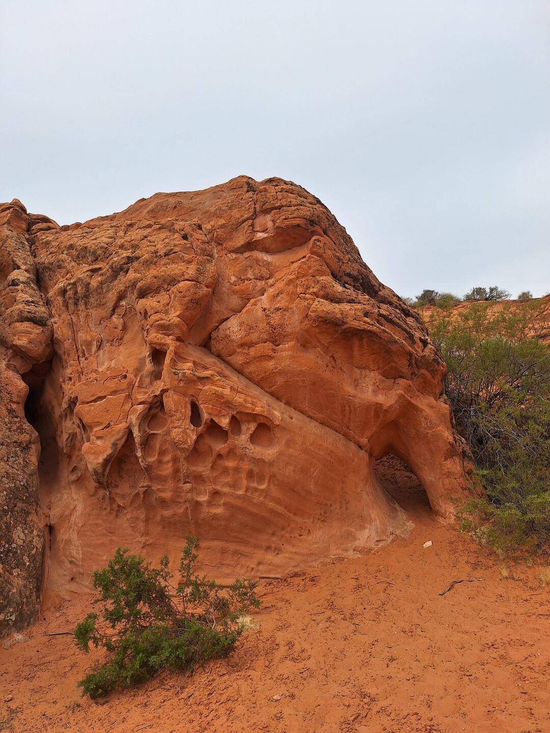 Mini elephant arch