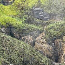 Blowhole that refused to play ball with us