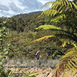Buller Gorge Swing Bridge