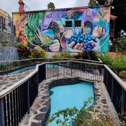 Im Garten des Casa de Vino in Santa Brigida