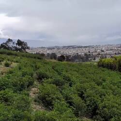 Rundblick auf Riobamba