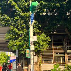 The stop signal is a little red man, and the go signal is a little green man that runs