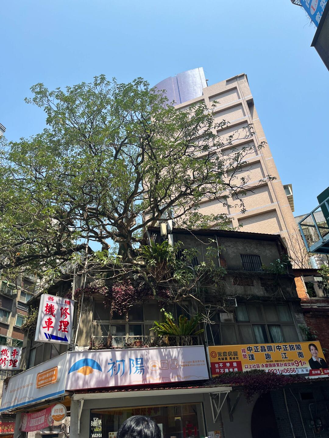 So many plants grow at all levels