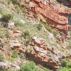 Photos don't do justice to the amazing rock formations of Meiringspoort