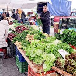 Markt in Katerini