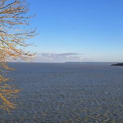 Ennesimo sforzo di memoria...