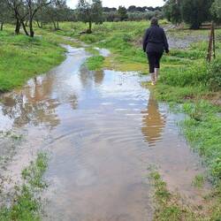 Regen, Regen, Regen....
