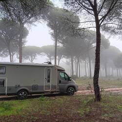 Gut gemacht Kleiner ! Im Pinienwald bei Almonte