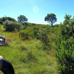 Off the beaten track