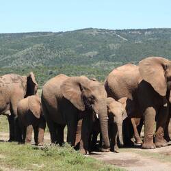 Look at the little baby AAAAAH!