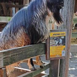 "HEY! SOMEONE TAKE MY PICTURE!!"