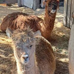 "Nothing to see here, you tourist. We're busy looking cool. Just move along now..."